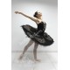 Black swan